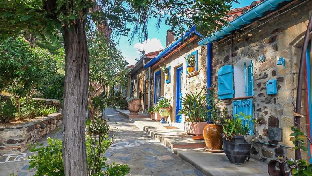 Maison Sur La Roche, Vue Mer Exceptionnelle, Parking Prive, Quartier Historique, Calme Collioure Exterior foto